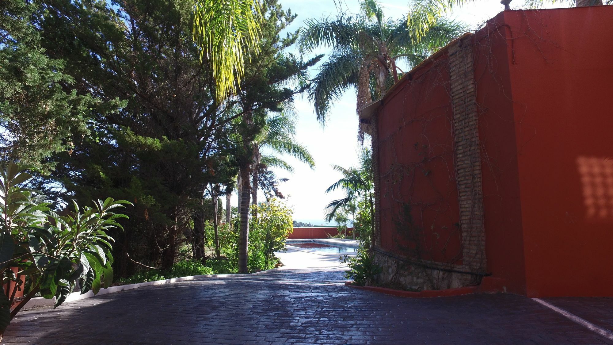 Finca La Vida Loca ベナルマデナ エクステリア 写真